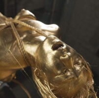 金粉プレミアム 10 美らかのん